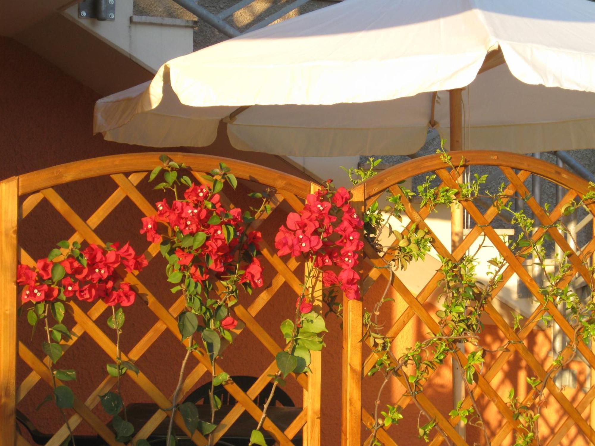 A Due Passi Dal Mare B&B Numana Kültér fotó