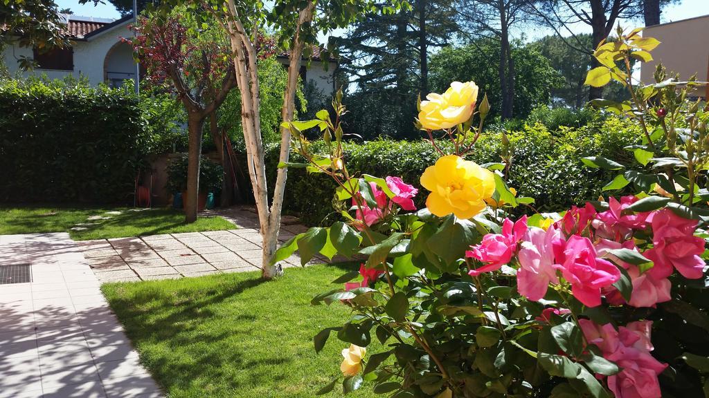 A Due Passi Dal Mare B&B Numana Kültér fotó